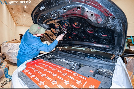 Капот и крышка багажника