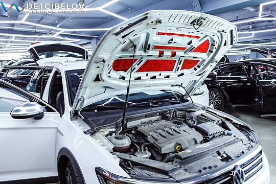 Капот и крышка багажника