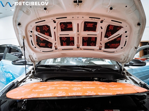 Капот и крышка багажника