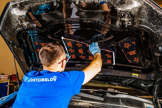 Капот и крышка багажника