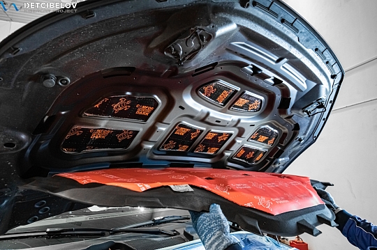 Капот и крышка багажника