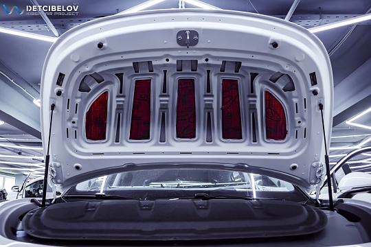 Капот и крышка багажника