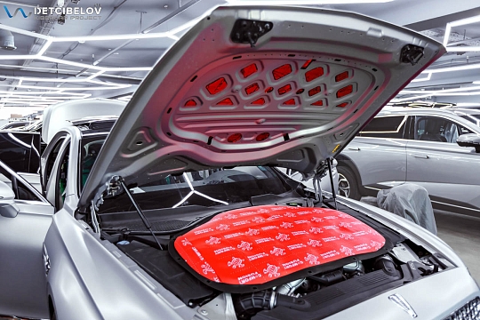 Капот и крышка багажника