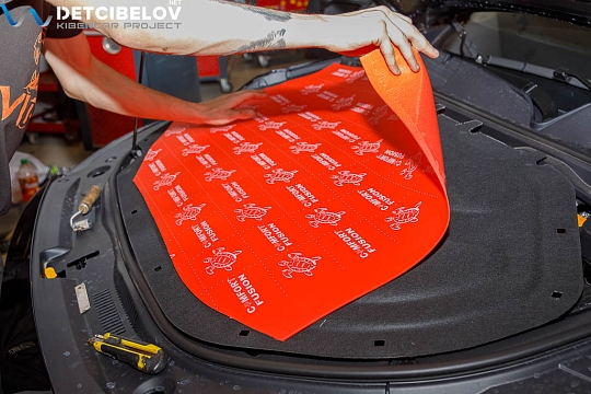 Капот и крышка багажника