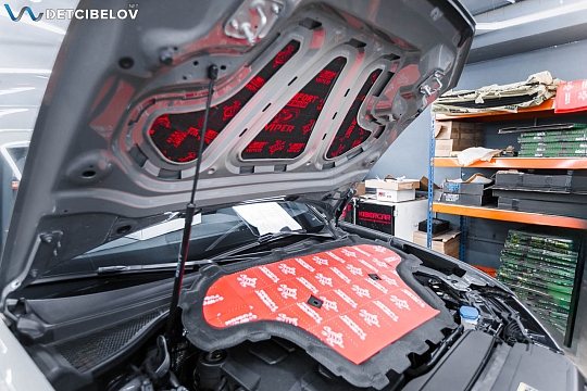 Капот и крышка багажника